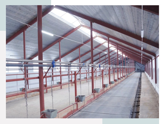 Строительство коровников в Сестрорецке от 615 руб.