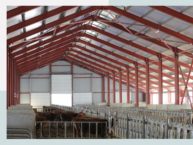 Строительство коровников в Сестрорецке