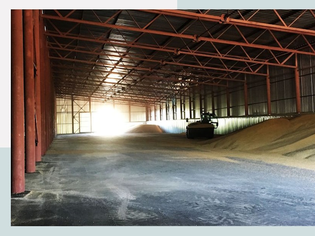 Строительство зернохранилищ в Сестрорецке