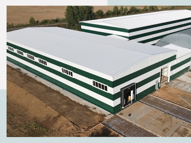 Строительство овощехранилищ в Сестрорецке