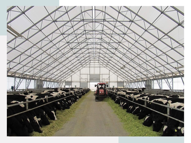 Тентовые коровники в Сестрорецке от 615 руб. - Надежно и доступно